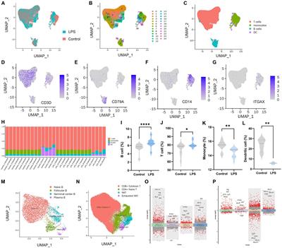 Association of peripheral B cells and delirium: combined single-cell sequencing and Mendelian randomization analysis